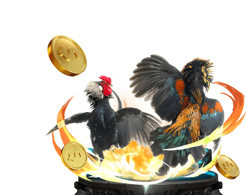 Đa dạng trò chơi cá cược tại Kubet 11 Net